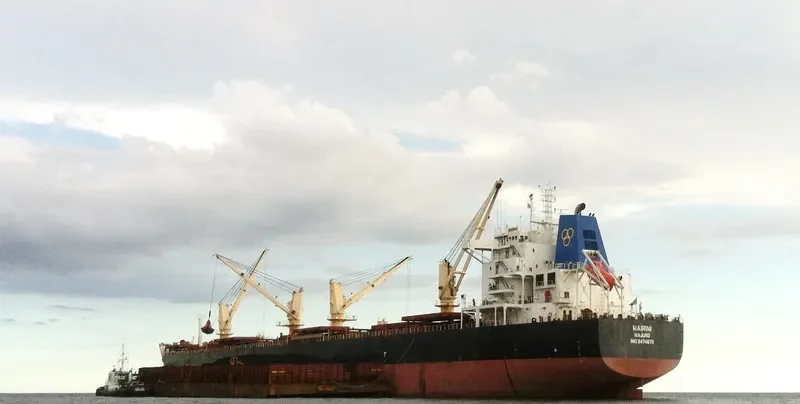 MAIRINI Bulk Carrier IMO 9474670 photo 4