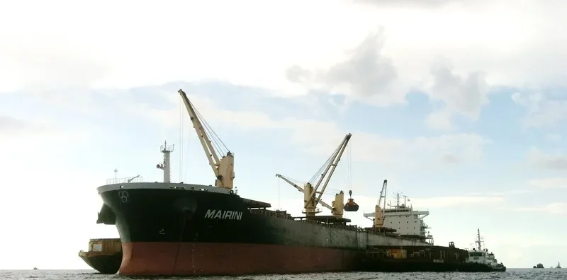 MAIRINI Bulk Carrier IMO 9474670 photo 5