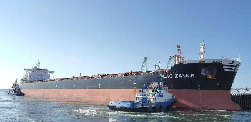 FLAG ZANNIS Bulk Carrier IMO 9474682