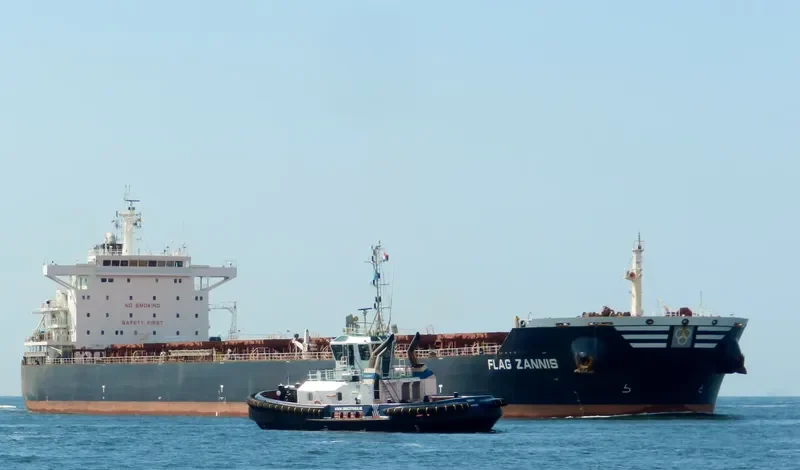 FLAG ZANNIS Bulk Carrier IMO 9474682 photo 2