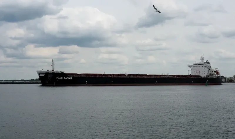 FLAG ZANNIS Bulk Carrier IMO 9474682 photo 5