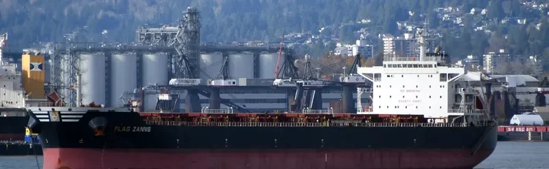 FLAG ZANNIS Bulk Carrier IMO 9474682 photo 10