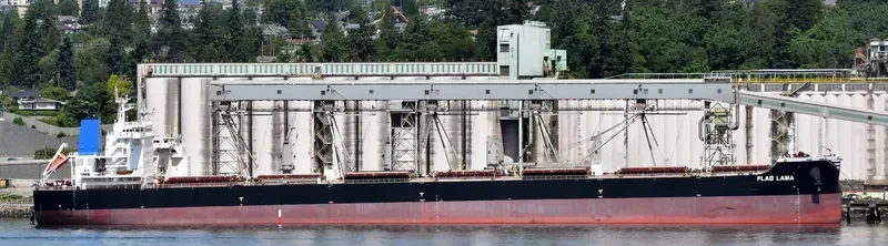 FLAG LAMA Bulk Carrier IMO 9474711