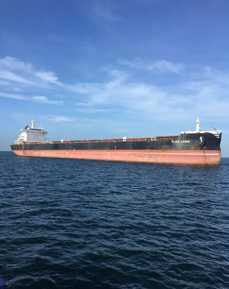 FLAG LAMA Bulk Carrier IMO 9474711 photo 5