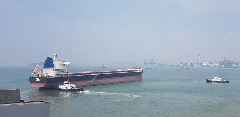NIKOLAS D Bulk Carrier IMO 9474723 photo 3