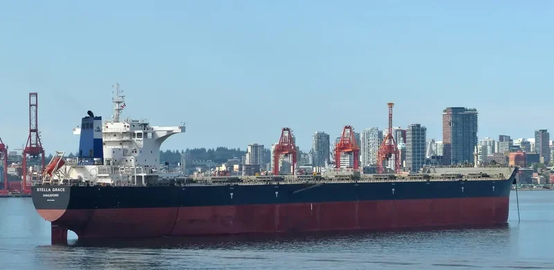 PACIFIC SOUTH Bulk Carrier IMO 9474967 photo 2