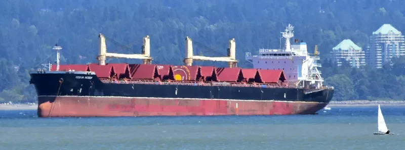 OZGUR AKSOY Bulk Carrier IMO 9475040 photo 5