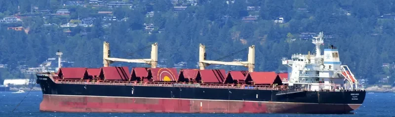 OZGUR AKSOY Bulk Carrier IMO 9475040 photo 6