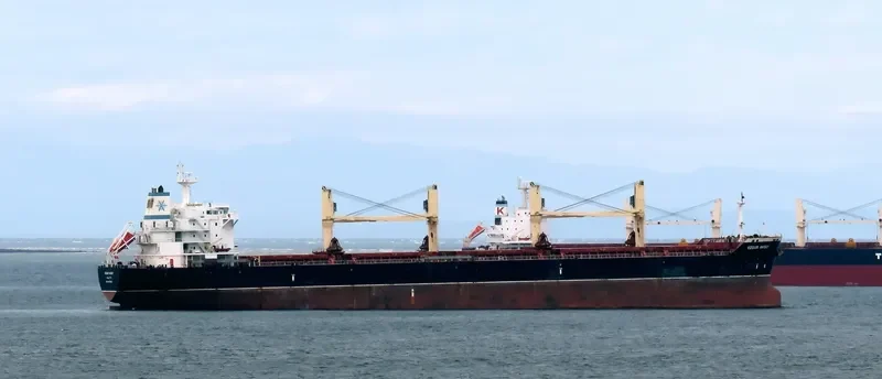 OZGUR AKSOY Bulk Carrier IMO 9475040 photo 7