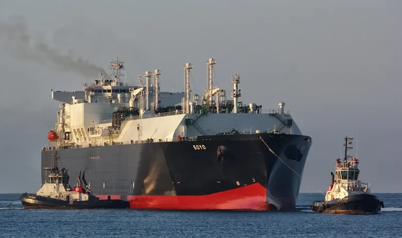SOYO General Cargo IMO 9475208 photo 7