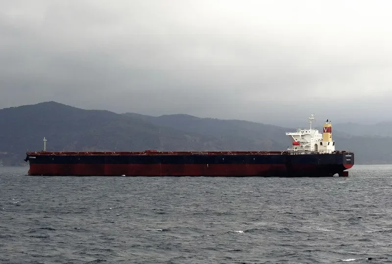 SM VISION Bulk Carrier IMO 9475301 photo 2