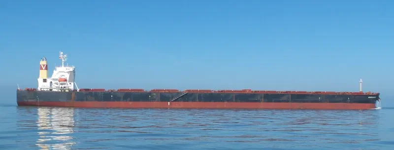 SM VISION Bulk Carrier IMO 9475301 photo 6