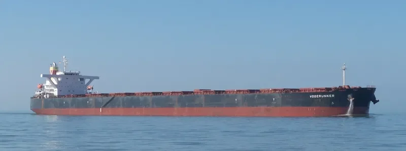 SM VISION Bulk Carrier IMO 9475301 photo 7