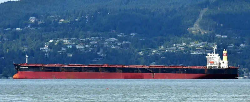 SM VISION Bulk Carrier IMO 9475301 photo 10