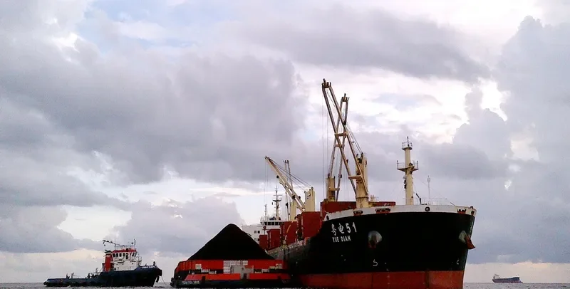 YUE DIAN 51 Bulk Carrier IMO 9475521 photo 4