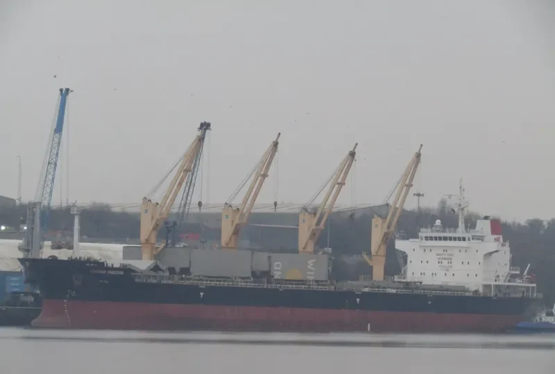 STRATEGIC ENDEAVOR Bulk Carrier IMO 9475727