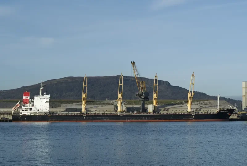 STRATEGIC ENDEAVOR Bulk Carrier IMO 9475727 photo 2