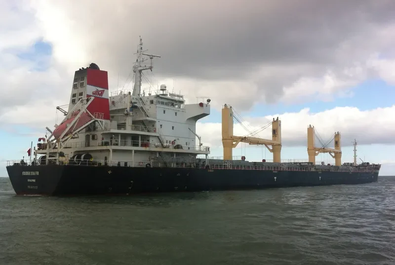 STRATEGIC ENDEAVOR Bulk Carrier IMO 9475727 photo 3