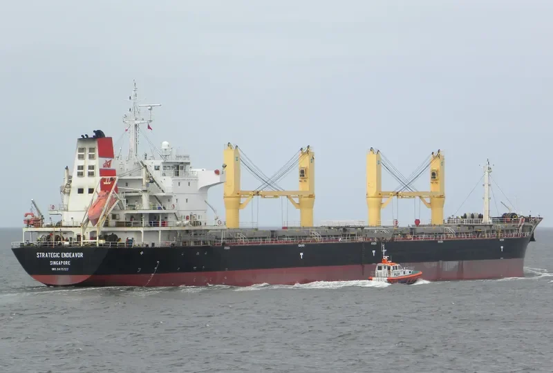 STRATEGIC ENDEAVOR Bulk Carrier IMO 9475727 photo 8