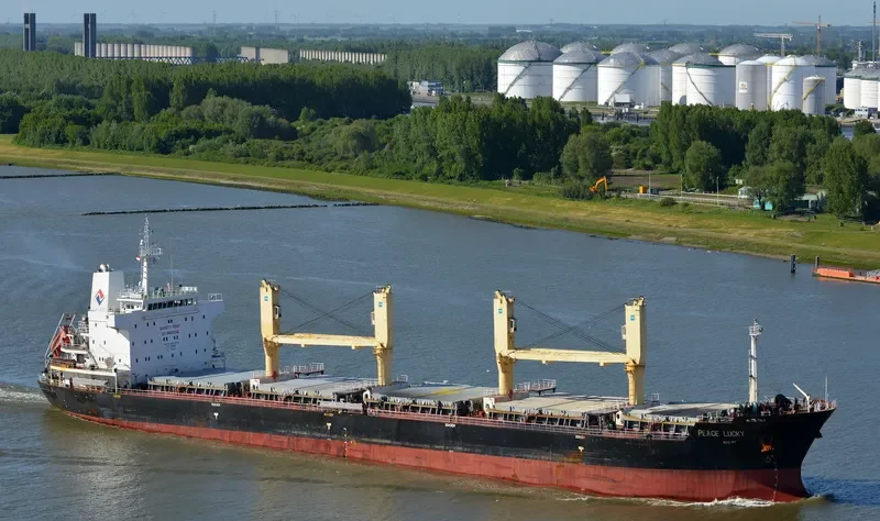 STRATEGIC ENCOUNTER Bulk Carrier IMO 9475739