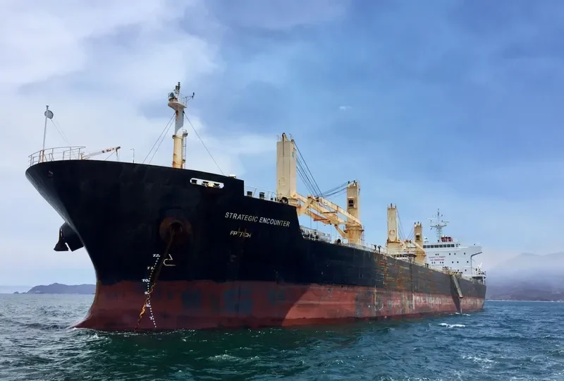 STRATEGIC ENCOUNTER Bulk Carrier IMO 9475739 photo 6