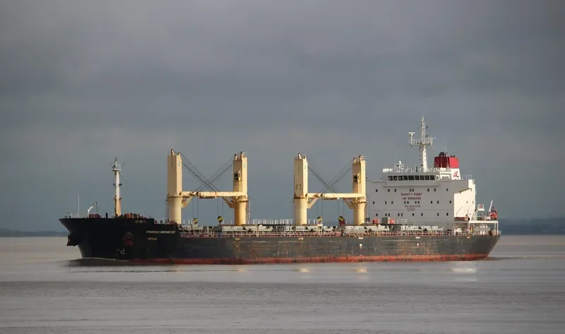 STRATEGIC ENCOUNTER Bulk Carrier IMO 9475739 photo 10