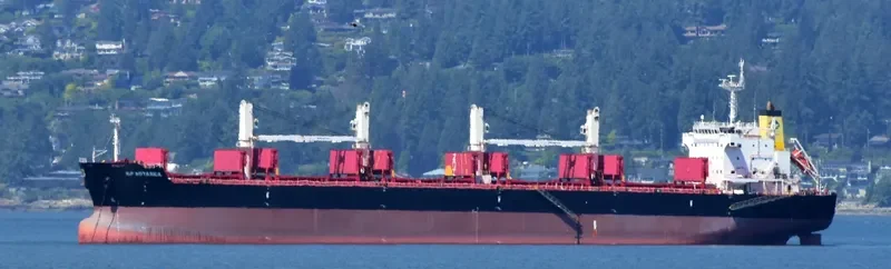 AP ASTAREA Bulk Carrier IMO 9475777 photo 2