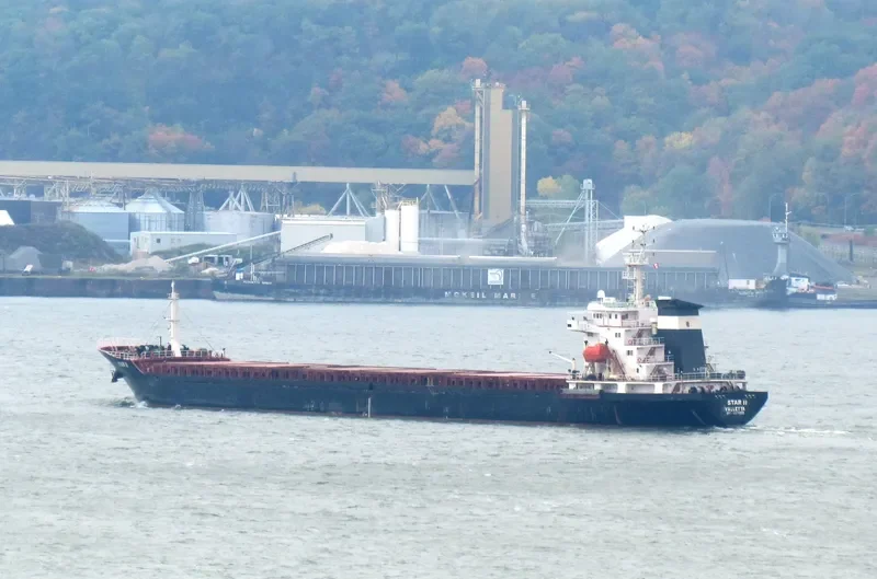 STAR II Bulk Carrier IMO 9476068 photo 4