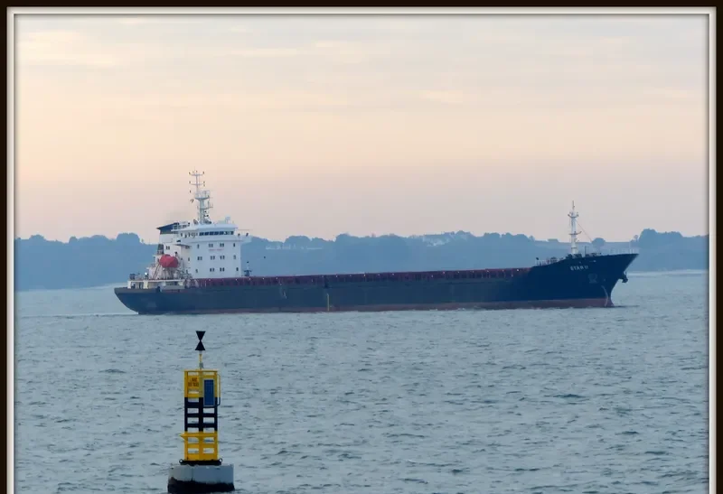 STAR II Bulk Carrier IMO 9476068 photo 8
