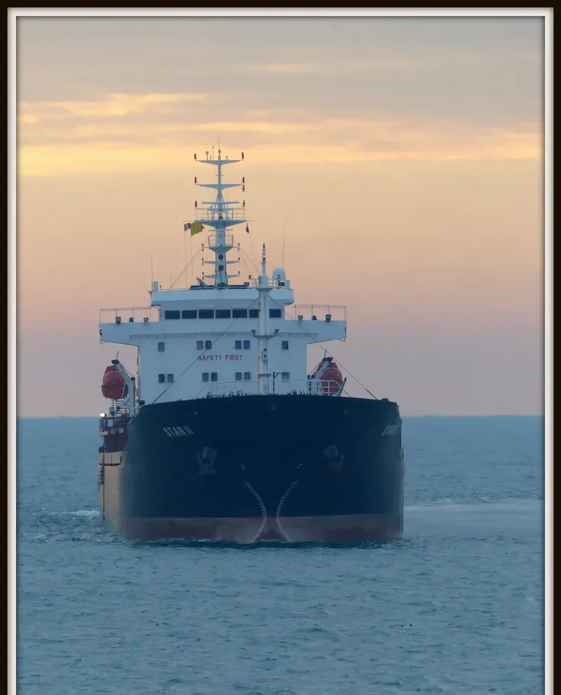 STAR II Bulk Carrier IMO 9476068 photo 9