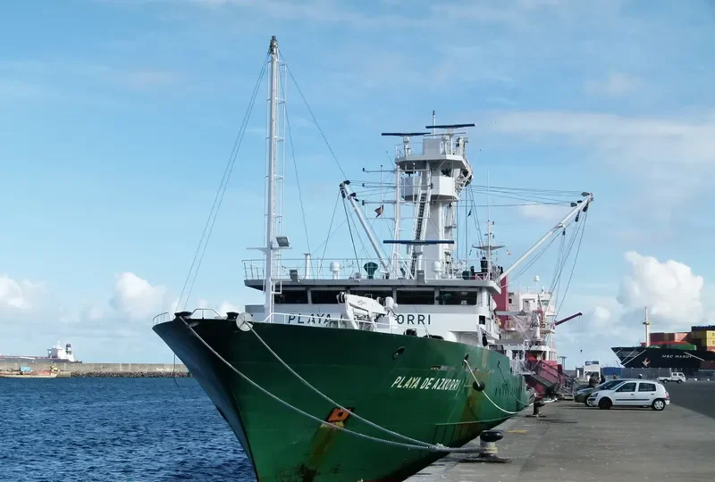 PLAYA DE AZKORRI General Cargo IMO 9476111 photo 7