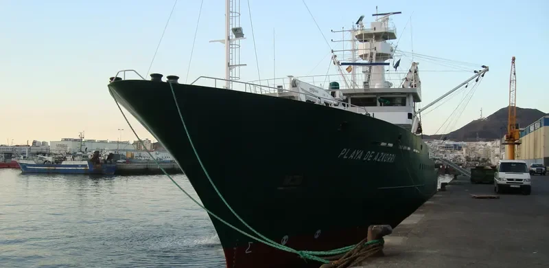 PLAYA DE AZKORRI General Cargo IMO 9476111 photo 8
