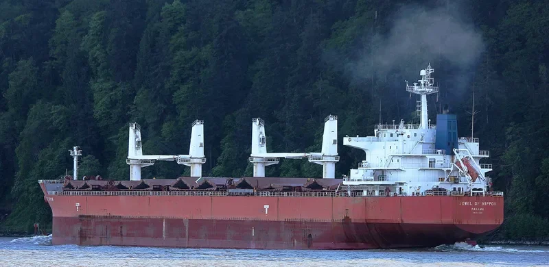 TASSOS N Bulk Carrier IMO 9476288