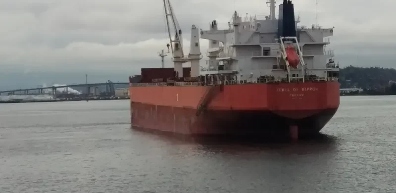 TASSOS N Bulk Carrier IMO 9476288 photo 5