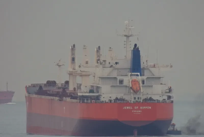TASSOS N Bulk Carrier IMO 9476288 photo 7