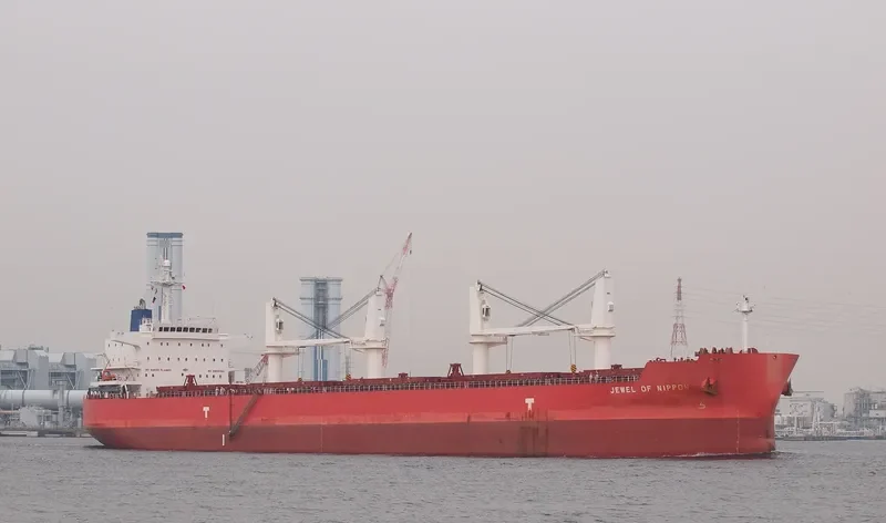 TASSOS N Bulk Carrier IMO 9476288 photo 9