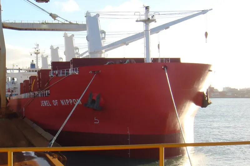 TASSOS N Bulk Carrier IMO 9476288 photo 10