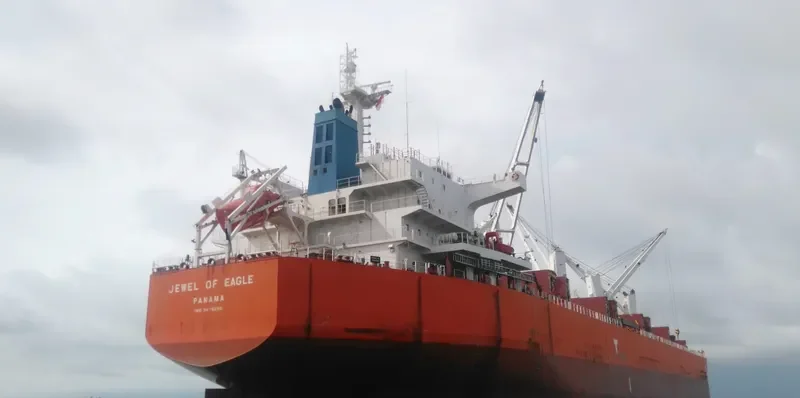 ASTRA N Bulk Carrier IMO 9476290 photo 3
