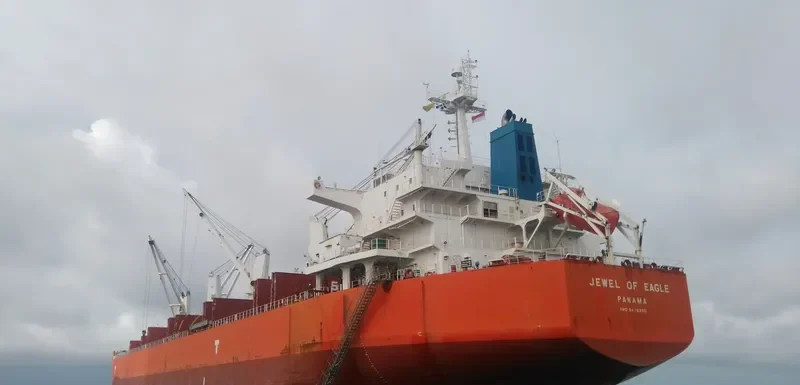 ASTRA N Bulk Carrier IMO 9476290 photo 5