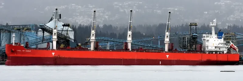 ASTRA N Bulk Carrier IMO 9476290 photo 7