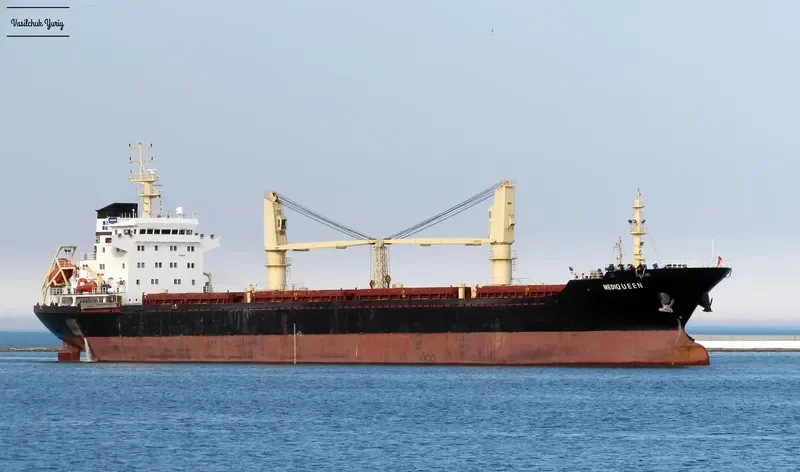 MEDIQUEEN Bulk Carrier IMO 9476410