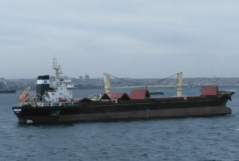 MEDIQUEEN Bulk Carrier IMO 9476410 photo 4