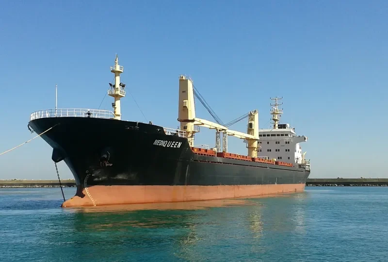 MEDIQUEEN Bulk Carrier IMO 9476410 photo 10