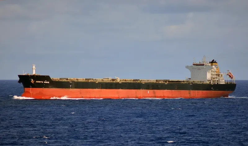 DENITA WAVE Bulk Carrier IMO 9476458