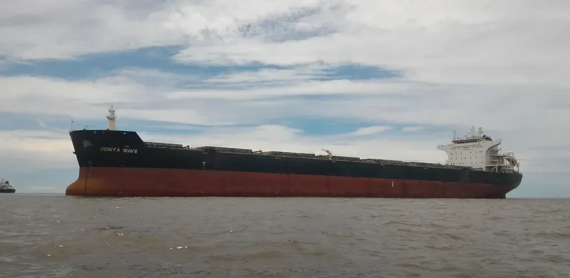 DENITA WAVE Bulk Carrier IMO 9476458 photo 2