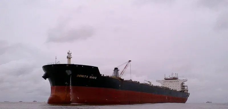 DENITA WAVE Bulk Carrier IMO 9476458 photo 4
