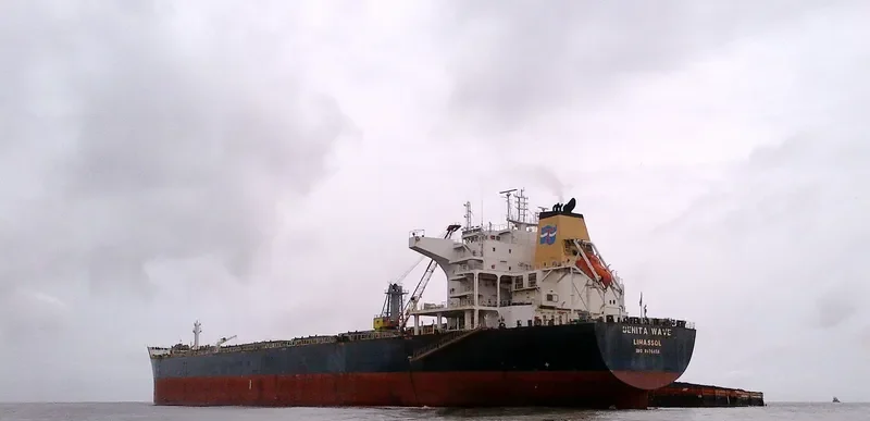 DENITA WAVE Bulk Carrier IMO 9476458 photo 5