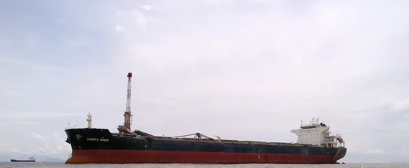 DENITA WAVE Bulk Carrier IMO 9476458 photo 7