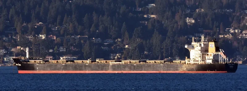 DENITA WAVE Bulk Carrier IMO 9476458 photo 8