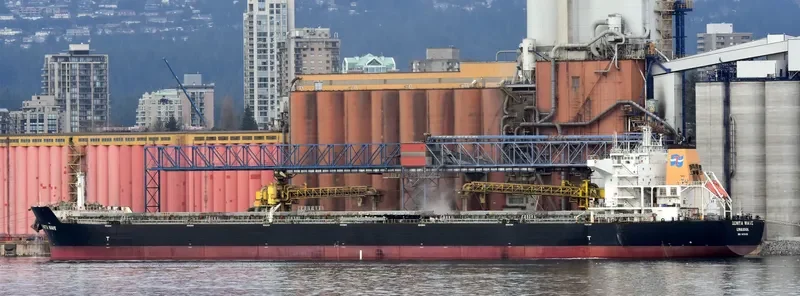 DENITA WAVE Bulk Carrier IMO 9476458 photo 9